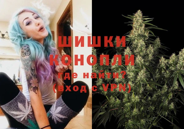 МДПВ Вяземский