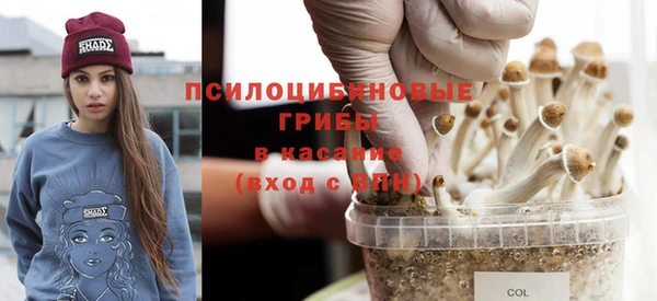 МДПВ Вяземский